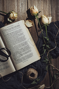 阅读之美暗调书籍花卉生活图片