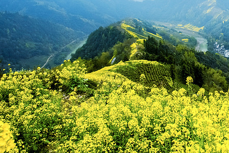 乡村人文婺源背景