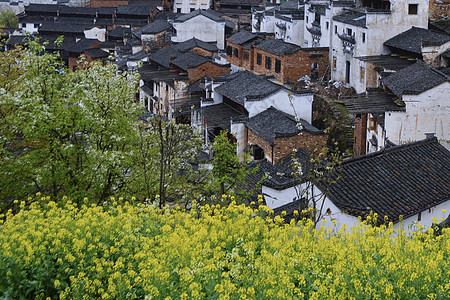 乡村人文婺源背景