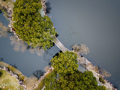 宁波月湖图片