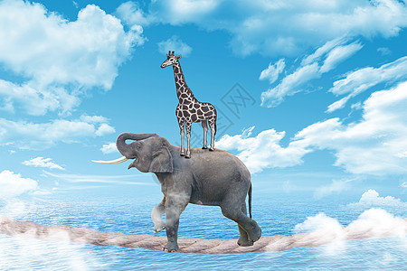大象创意概念背景设计图片