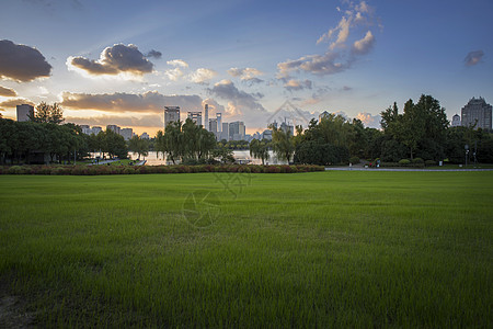 世纪难题上海公园风景背景