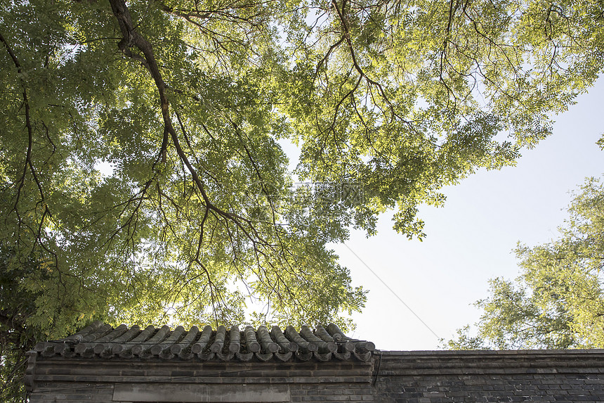 北京胡同风景图片