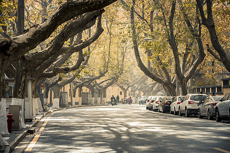 南京的马路背景图片