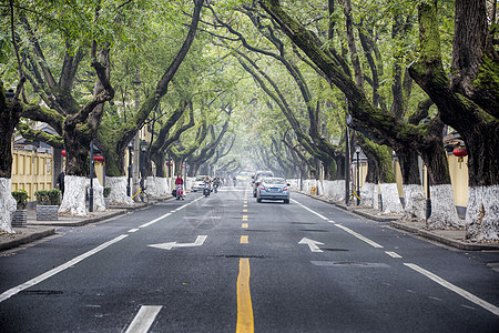 南京的马路图片