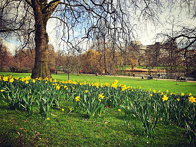 伦敦公园风景高清图片