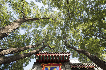 北京胡同风景图片