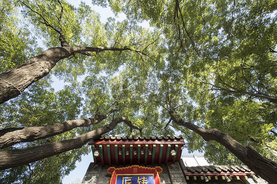 北京胡同风景图片