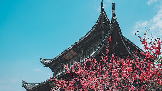 桃花与寺庙建筑飞檐高清图片