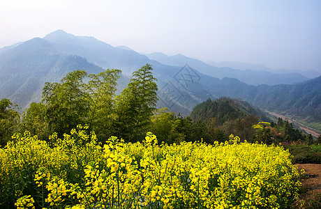 春天的山中风光图片