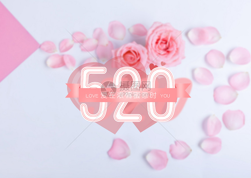 520浪漫鲜花背景图片