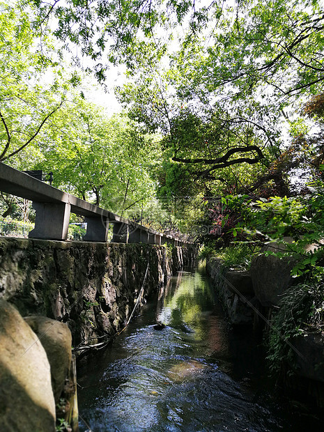 西湖雷峰塔图片