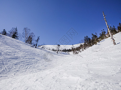 滑雪道梅池高原滑雪场背景