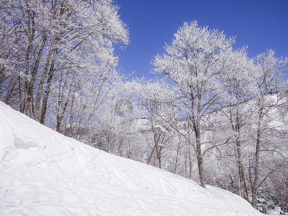 梅池高原滑雪场图片