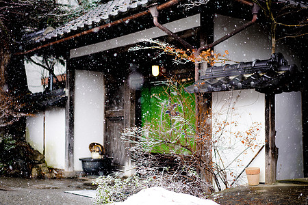 日本白马村雪景高清图片