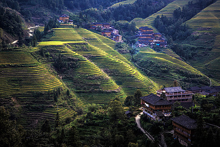 桂林龙脊梯田背景图片