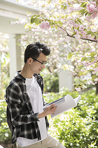 学生在认真阅读图片