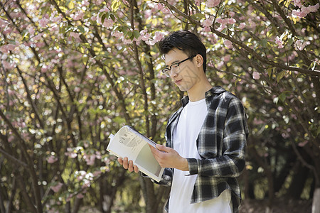 学生在认真阅读图片