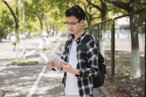 学生在认真阅读图片