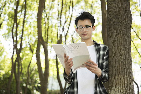 学生在认真阅读图片