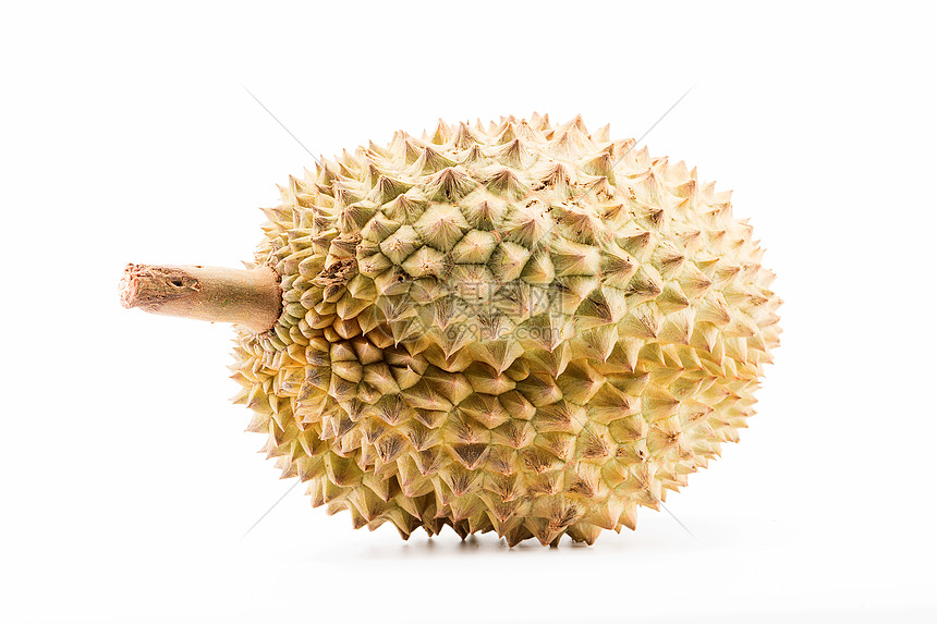 一只完整的大榴莲