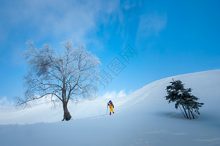 行走在风雪中的人图片