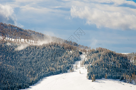 新疆禾木冬季白桦林雪山美景图片