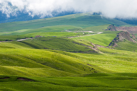 新疆天山牧场图片
