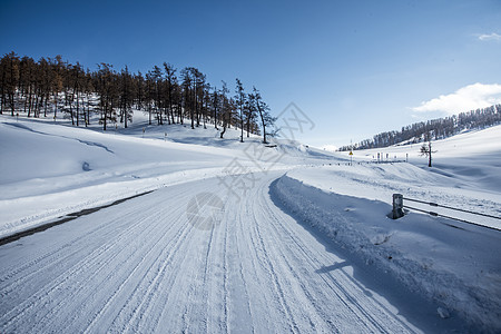 新疆冬季喀纳斯大美雪景图片