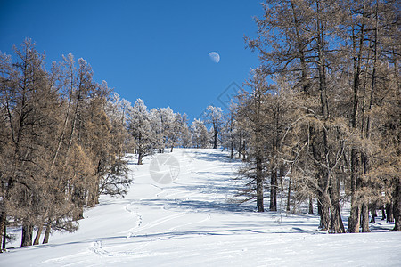 新疆冬季喀纳斯大美雪景图片