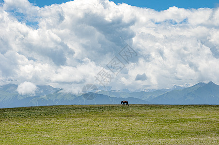 中国风山水新疆天山牧场美景背景