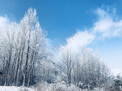 雪山景雪背景