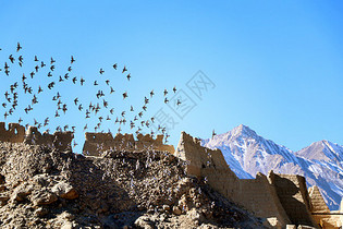 喀什风景集锦图片