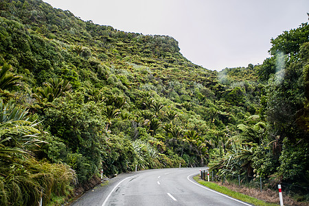 山秋新西兰背景