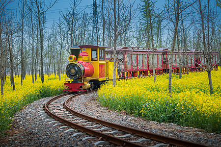 开往春天的小火车图片