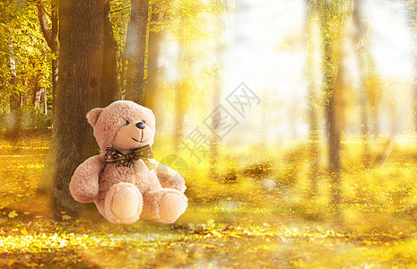 孤独的小熊背景图片