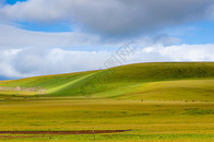 新疆天山草原牧业风光图片