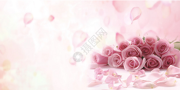 粉玫瑰背景玫瑰花背景图设计图片
