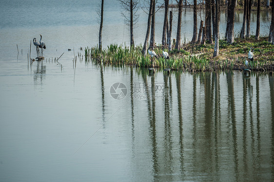 苏州东太湖生态旅游度假区中心湖泊图片