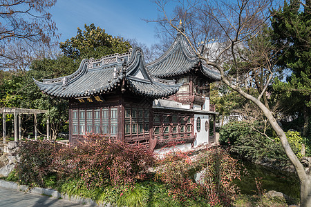 般若图片 般若素材 般若高清图片 摄图网图片下载