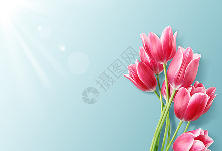 母亲节花卉背景背景图片