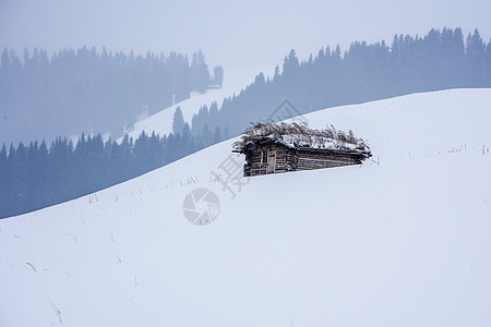新疆天山冬季木屋图片