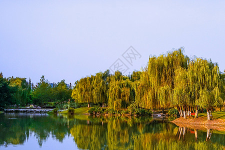 护城河绿柳背景