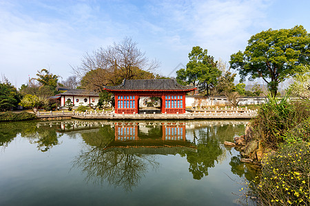 天树武汉东湖绿道园林背景