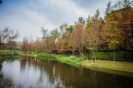 麓湖楼盘景色图片