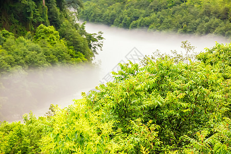 西藏林芝山涧晨雾峭壁高清图片素材