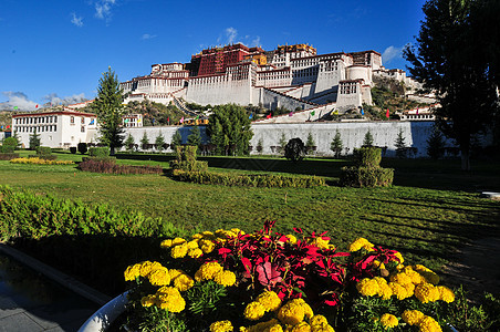 西藏拉萨布达拉宫背景图片