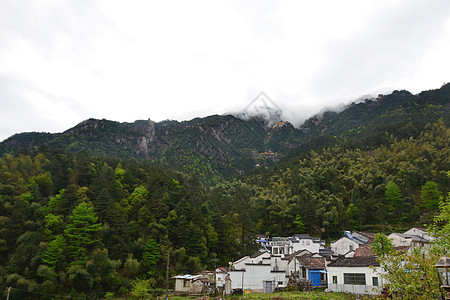 九华山春景背景图片