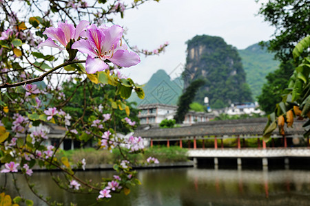 桂林阳朔背景图片