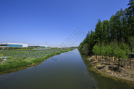 郊外自然风景图片